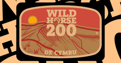 Wild horse 200